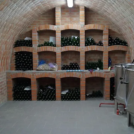 Apartament Apartman Luzican